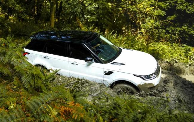 В британских лесах обнаружили 22 украденных внедорожника Land Rover и Range Rover