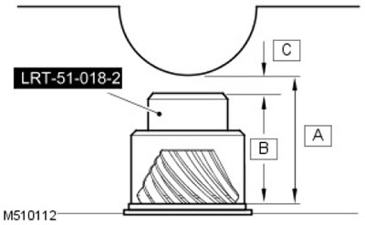 3. 'C' = Височина на главата.