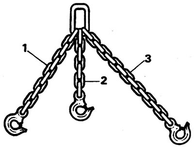 (3) ramură posterioară dreaptă - 457 mm